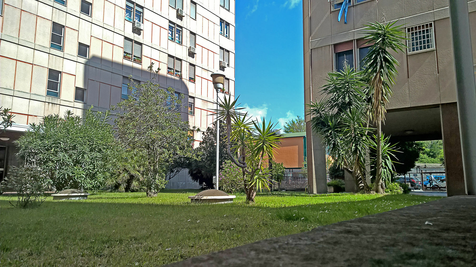 Affittacamere Coppola Roma
